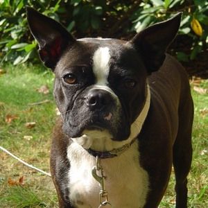 Meet your Posher, Coleen